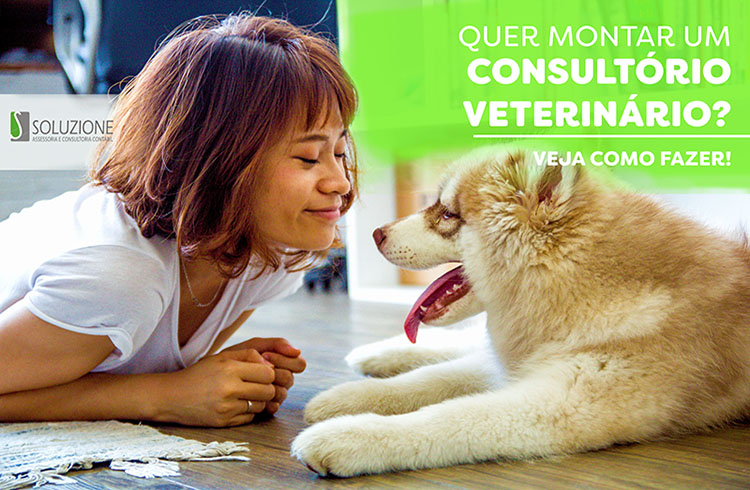 Montar consultório veterinário