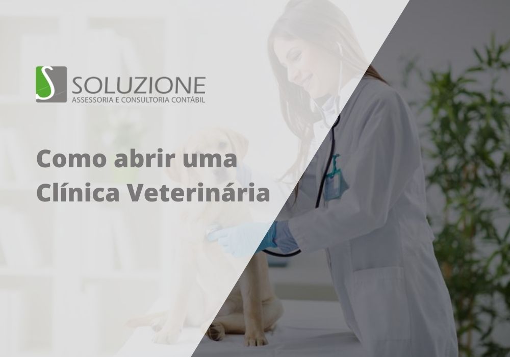 Como abrir uma Clínica Veterinária