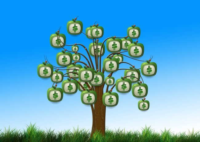 serviços contabilidade de gestão financeira - árvore de finanças