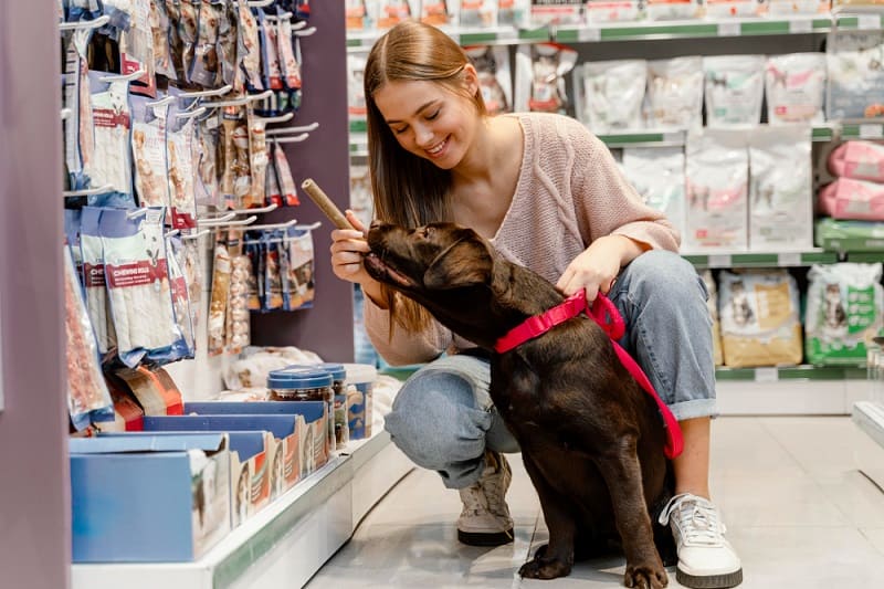 Como abrir um pet shop - foto de cachorro e tutora em banho e tosa (1)