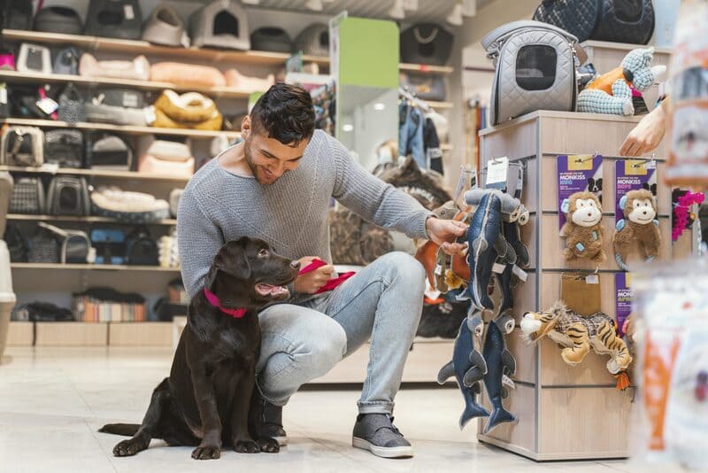 Contabilidade para pet shop - imagem de tutor e seu pet da espécie labrador em um petshop
