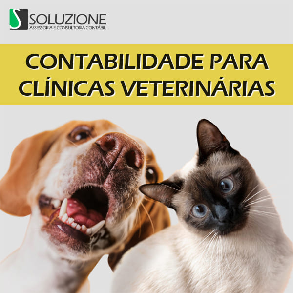 Contabilidade para clínicas veterinárias - imagem de pets felizes após cuidado do médico veterinário